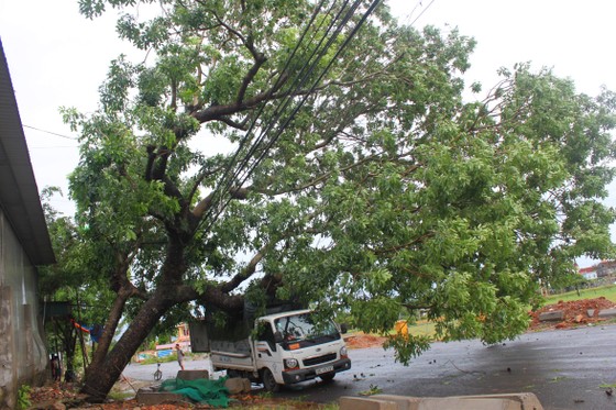 Hà Tĩnh: Bão số 2 đổ bộ khiến hàng loạt cây xanh, cột điện, biển hiệu... bị gãy đổ ảnh 25