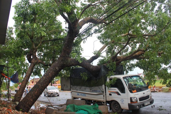 Hà Tĩnh: Bão số 2 đổ bộ khiến hàng loạt cây xanh, cột điện, biển hiệu... bị gãy đổ ảnh 20