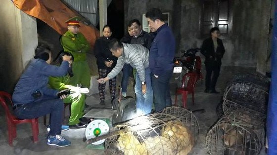 Triệt phá đường dây trộm và tiêu thụ chó với số lượng lớn ở Hà Tĩnh ảnh 1