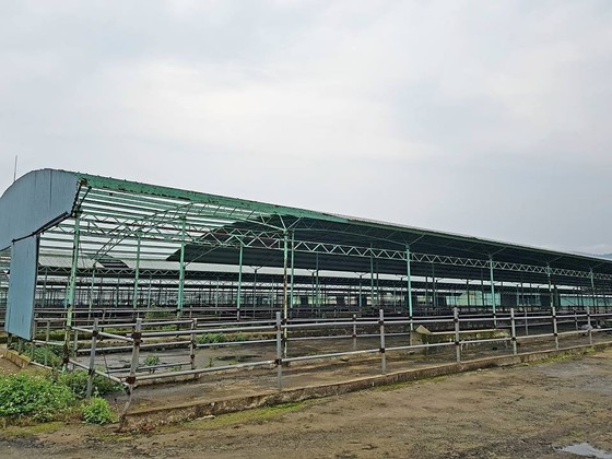 Khởi tố, bắt giam nguyên tổng giám đốc công ty cổ phần chăn nuôi Bình Hà ảnh 1