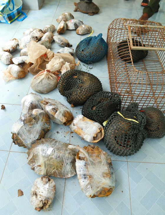 Khởi tố vụ án hình sự "Vi phạm quy định về bảo vệ động vật nguy cấp, quý, hiếm" ảnh 1