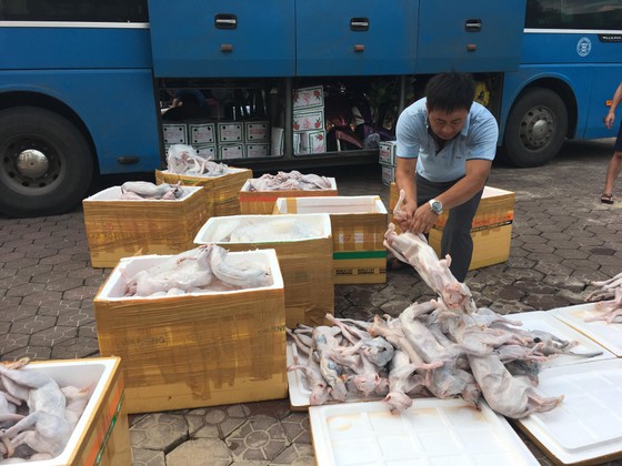 Bắt giữ xe khách vận chuyển hơn 900kg thịt mèo không rõ nguồn gốc ảnh 1