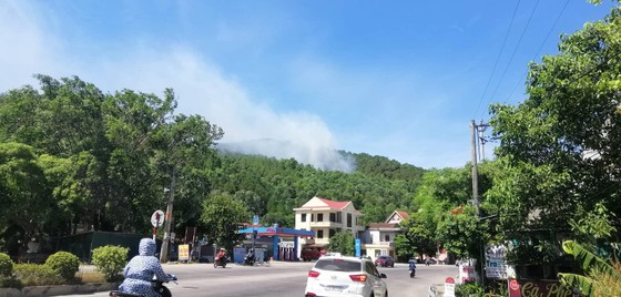 Tạm giữ một người đàn ông nghi liên quan vụ cháy rừng ở Hà Tĩnh ảnh 1