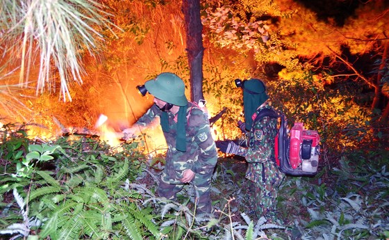 Cơ bản khống chế được đám cháy rừng ở Hà Tĩnh ảnh 3