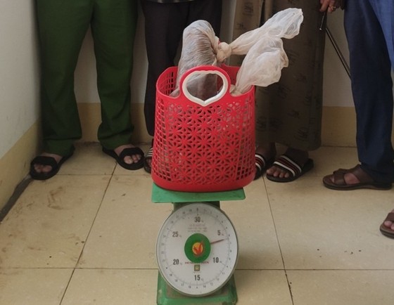 Bắt đối tượng vận chuyển 2 con rắn hổ mang nặng 6kg ảnh 1
