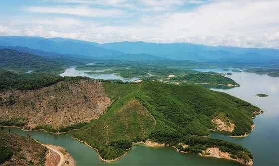 Phát hiện loài ếch mới cho khoa học tại Vườn Quốc gia Vũ Quang ảnh 1