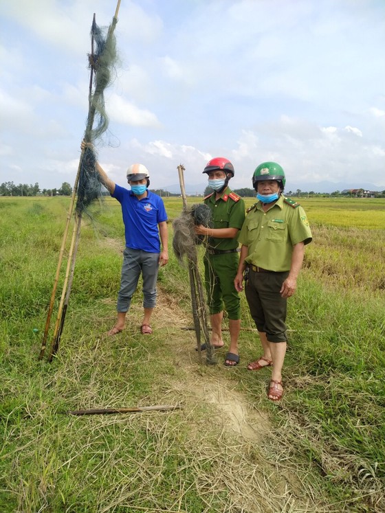 Hà Tĩnh: Tăng cường xử lý tình trạng săn bắt chim tự nhiên, động vật hoang dã ảnh 5