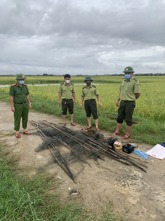 Hà Tĩnh: Tăng cường xử lý tình trạng săn bắt chim tự nhiên, động vật hoang dã ảnh 6