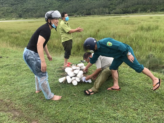 Hà Tĩnh: Tăng cường xử lý tình trạng săn bắt chim tự nhiên, động vật hoang dã ảnh 7