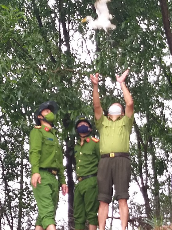 Hà Tĩnh: Tăng cường xử lý tình trạng săn bắt chim tự nhiên, động vật hoang dã ảnh 11