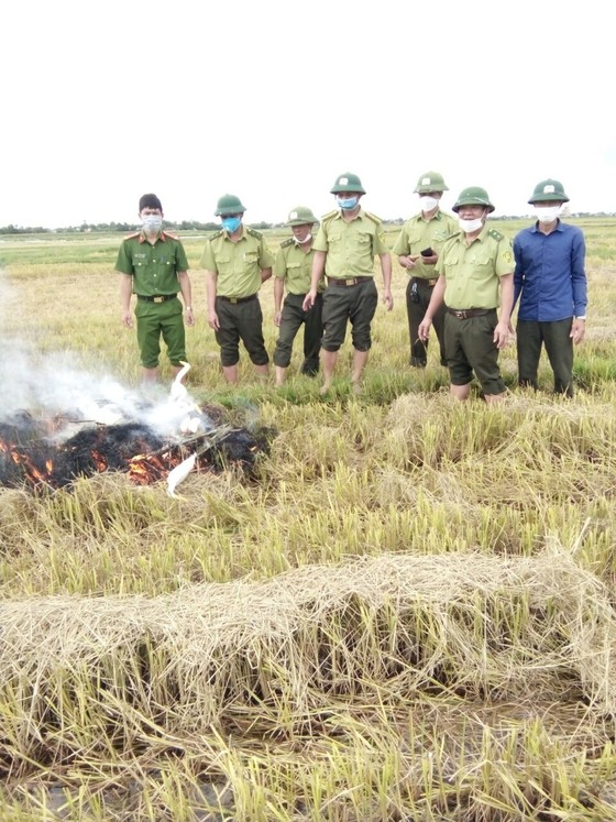 Hà Tĩnh: Tăng cường xử lý tình trạng săn bắt chim tự nhiên, động vật hoang dã ảnh 8