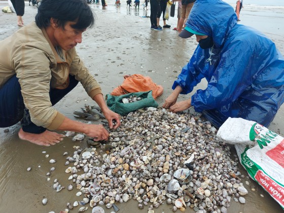 Người dân Hà Tĩnh đổ xô đi nhặt 'lộc biển' ảnh 11