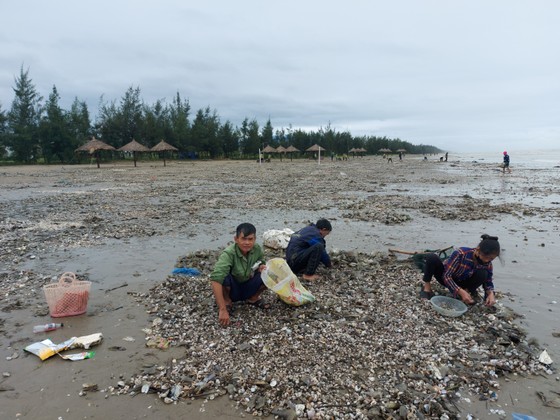 Người dân Hà Tĩnh đổ xô đi nhặt 'lộc biển' ảnh 3