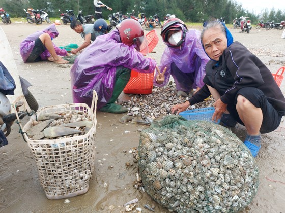 Người dân Hà Tĩnh đổ xô đi nhặt 'lộc biển' ảnh 13