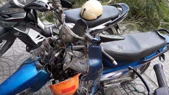 VIDEO: Cây xanh bật gốc đè 4 người bị thương ảnh 1