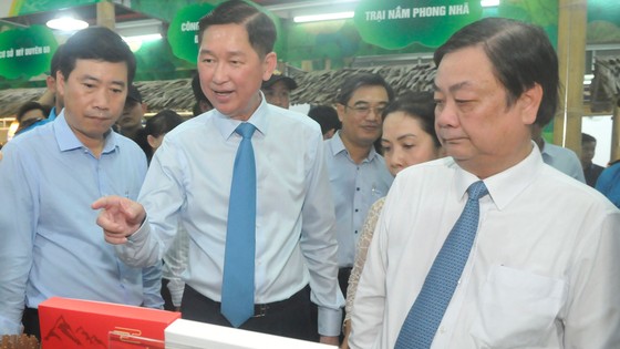 Khơi thông sản xuất, kích cầu tiêu thụ nội địa ảnh 1