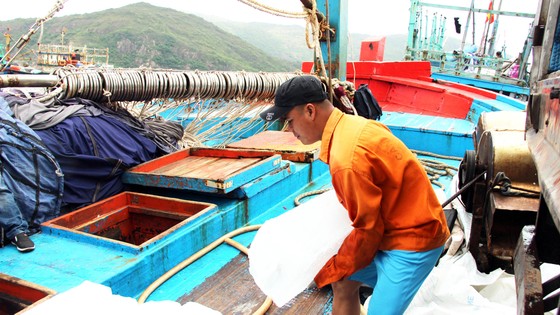 Vươn khơi sau bão ảnh 1
