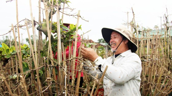 Hoa tết vào mùa ảnh 1