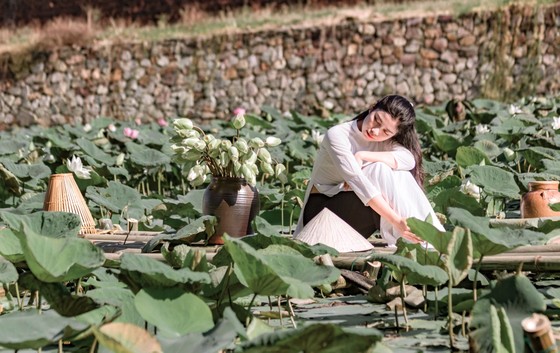 Độc đáo sen trắng ảnh 5