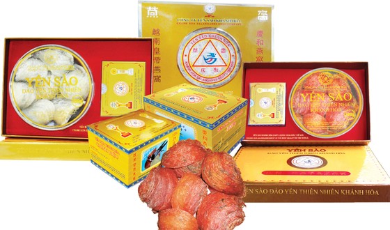 Yến sào Khánh Hòa nỗ lực sản xuất kinh doanh: Vượt qua đại dịch Covid-19 ảnh 1