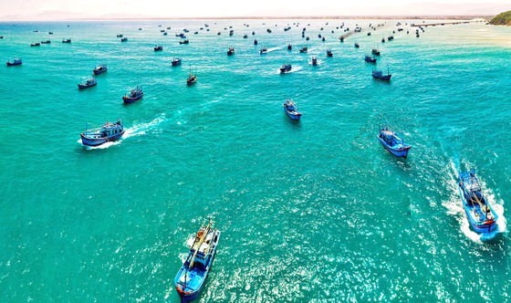 Khai thác thủy sản bền vững, chuyên nghiệp - Làm đúng để đi xa: Những điểm sáng giữa khơi xa ảnh 1