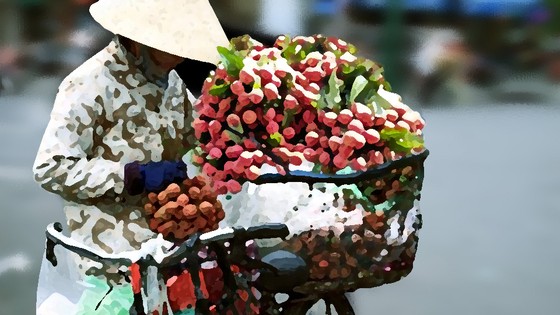 Hương vị quê xa ảnh 1