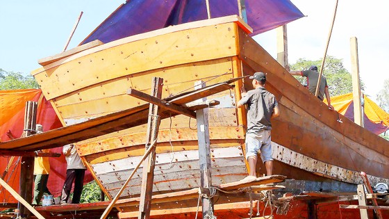 Vươn khơi bám biển: Khi đàn cá trở về ảnh 2