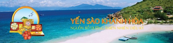 Một ngày trên đảo yến ảnh 3