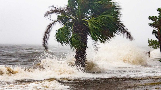 Florida tan hoang sau siêu bão Michael mạnh nhất kể từ năm 1992 ảnh 22