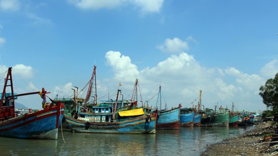 1.000 tàu cá nằm bờ… ảnh 1