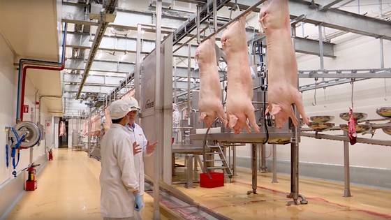 Khám phá bí mật giúp thịt mát công nghệ Châu Âu tươi ngon suốt 09 ngày (*) ảnh 1