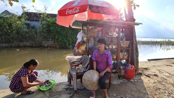 Gượng dậy bên bờ Hạc Hải ảnh 1