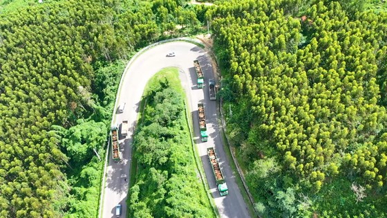 Logistics trọn gói cho nông nghiệp - Thilogi góp phần mang nông sản Việt ra thế giới ảnh 3