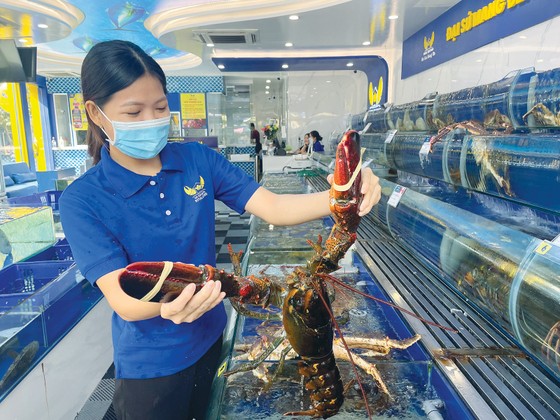 Nông, thủy sản ngoại nhập lấn 'sân nhà' ảnh 1