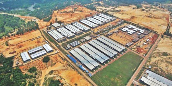 Mặt trái sự thần kỳ của các đặc khu kinh tế? ảnh 1
