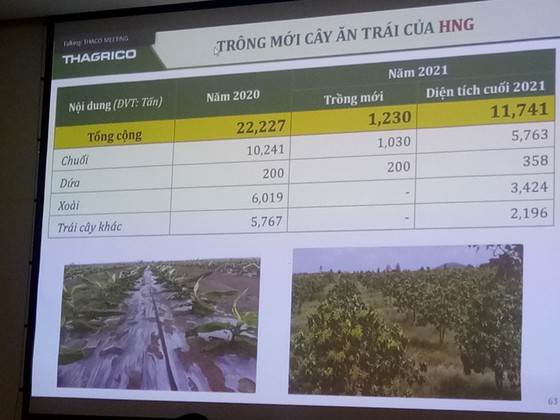 Tỷ phú Trần Bá Dương đã đầu tư vào HAGL ra sao? ảnh 1