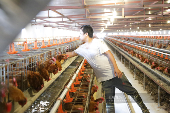 Covid-19 tạo ra cơ hội vô cùng lớn để Việt Nam vươn lên vượt các đối thủ cạnh tranh trong khu vực ảnh 3