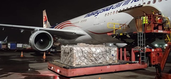 50.000 lọ thuốc Remdesivir điều trị Covid-19 đã về TPHCM ảnh 1
