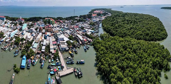 Cần Giờ mở cửa đón khách ảnh 1