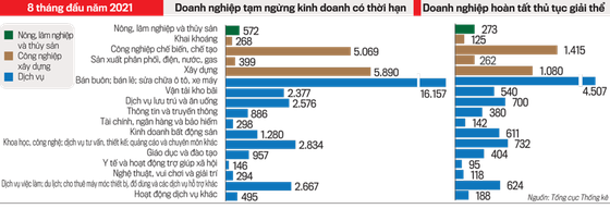Chuyên gia WB: Mở cửa sẽ phải đảm bảo cân bằng giữa phục hồi hoạt động kinh tế và giữ an toàn cho người dân - Ảnh 2