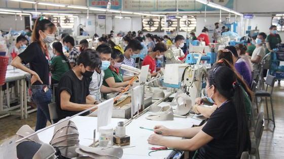 Dòng tiền nào cho các doanh nghiệp đã đuối sức rồi? - Ảnh 3. Dòng tiền nào cho các doanh nghiệp đã đuối sức rồi? - Ảnh 3.