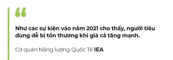 'Ông vua nhiên liệu' của thế kỷ XXI ảnh 2
