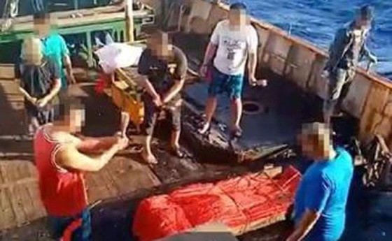 Indonesia chặn bắt tàu cá Trung Quốc, phát hiện thi thể đông lạnh - Ảnh 2. Indonesia chặn bắt tàu cá Trung Quốc, phát hiện thi thể đông lạnh - Ảnh 2.