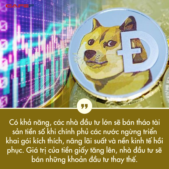 Tỷ suất sinh lời đạt hơn 8.000% từ đầu năm đến nay, bong bóng Dogecoin khi nào vỡ? - Ảnh 4. Tỷ suất sinh lời đạt hơn 8.000% từ đầu năm đến nay, bong bóng Dogecoin khi nào vỡ? - Ảnh 4.