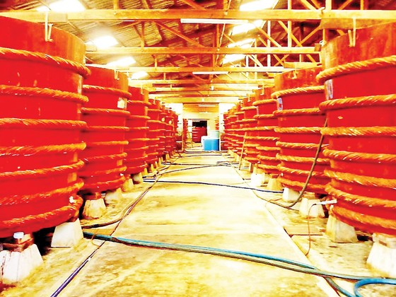 Bỏ lỡ 5 “đặc sản” hiếm có khó tìm này, coi như chưa đến Phú Quốc! ảnh 5
