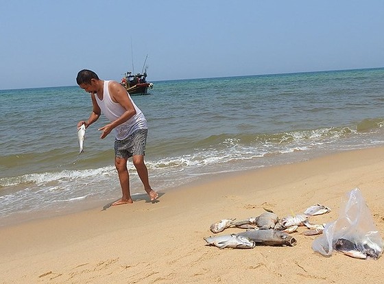 Thêm thời gian hỗ trợ khắc phục sự cố môi trường biển ảnh 1
