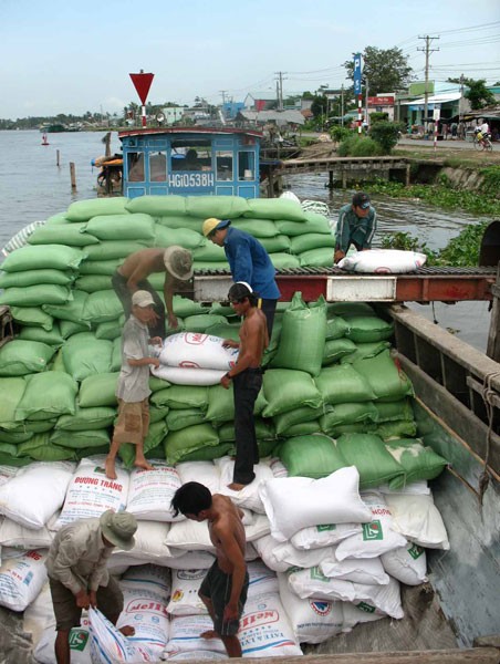 Khởi sắc vụ đông xuân ảnh 2