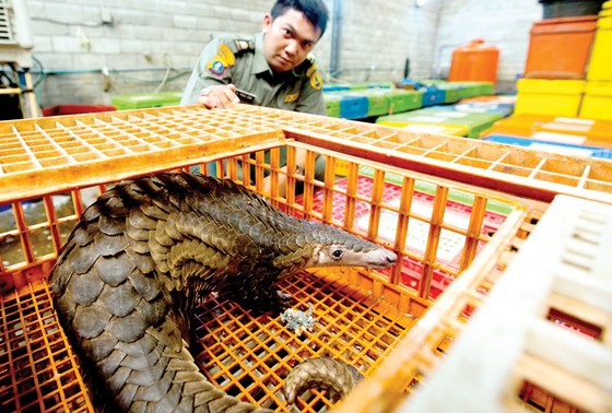 Chống buôn bán động vật hoang dã bằng công nghệ ảnh 1