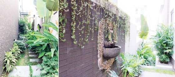 Mãn nhãn với không gian sống xanh tại “khu phố nhà giàu” ở Hà Nội ảnh 4