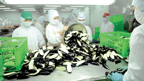 Nông thủy hải sản đối mặt rào cản xuất khẩu ảnh 1